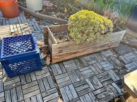 Photo of free 2 succulent planters (Lawrence Expwy & Monroe Street) #3