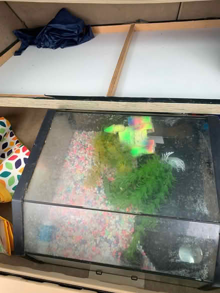 Photo of free Fish tank small, hexagonal (Wombourne WV5) #2