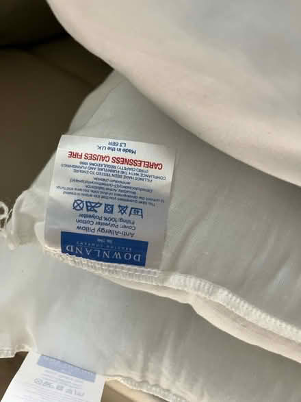 Photo of free Double duvet and pillows (Malmesbury SN16) #3