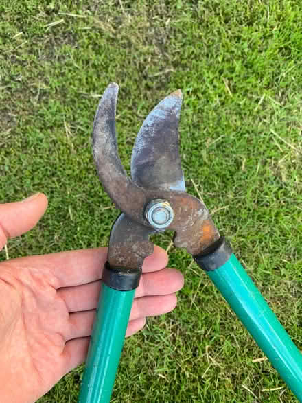 Photo of free Pruners / loppers (Maesbrook SY10) #2