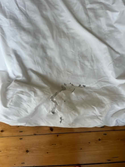 Photo of free Double duvet (Hanover BN2) #3