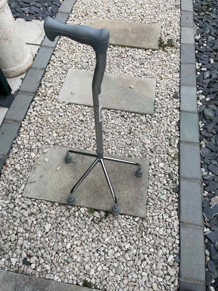 Photo of free Walking stick with 4 feet (Clewer New Town SL4) #1