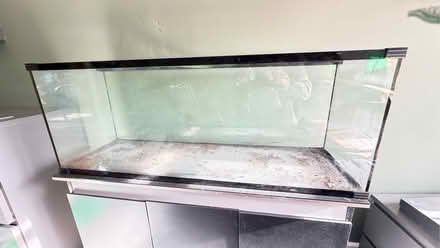 Photo of free Large fish tank on storage cupboard (Sharmans Cross B91) #2