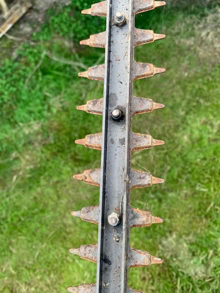 Photo of free Hedge trimmer (Maesbrook SY10) #4