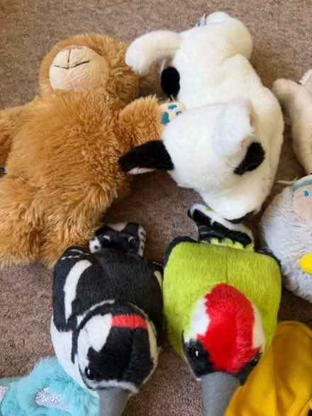 Photo of free Box of stuffed toys (Malvern WR14) #2