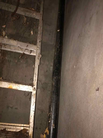 Photo of free 2 inch black pipe 8 foot length (cobble hill) #1