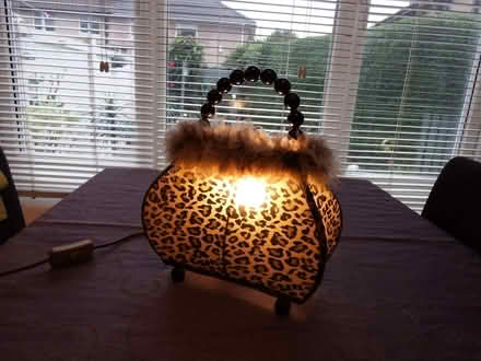 Photo of free Novelty Handbag Lamp (Vale LA1) #3