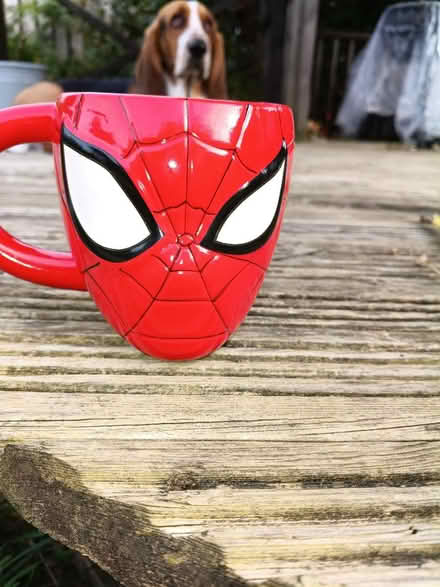 Photo of free Spider man mug ( dog not included) (Barry) #1