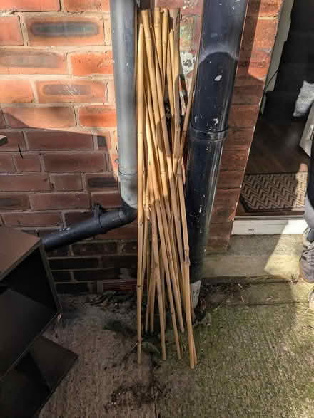 Photo of free 12 x bamboo sticks (Manchester M19) #1