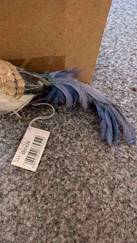 Photo of free Christmas tree decoration (NN3 8XJ) #4