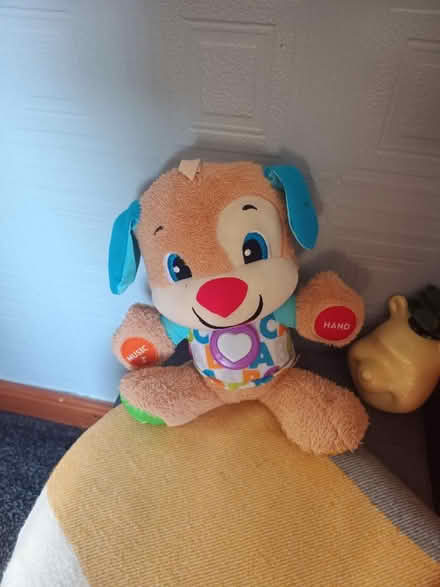 Photo of free Kids educational bear (Handsworth S13) #1
