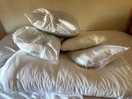 Photo of free Duvet and Pillows (SE1 Old Kent Road) #1