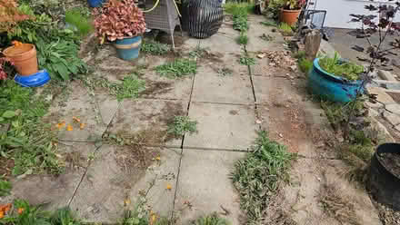 Photo of free Concrete patio slabs (Knighton LD7) #1