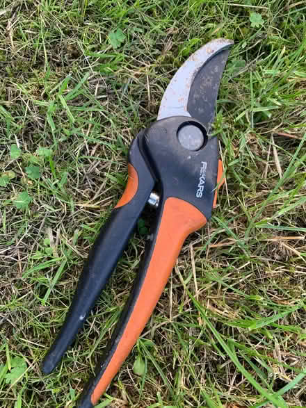 Photo of free secateurs & bulb hole planter (Maesbrook SY10) #1