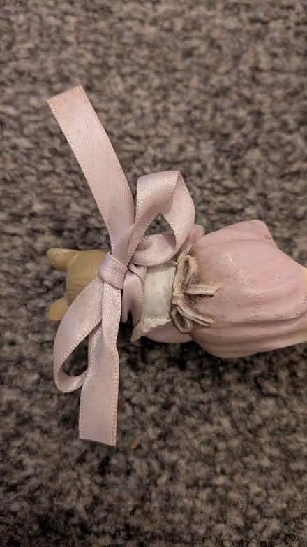 Photo of free Plant pot mouse (NN3 8XJ) #4