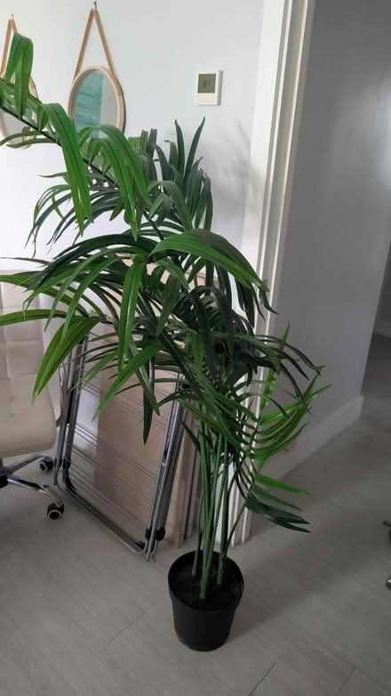Photo of free Fake palm tree (East Acton, W37 W3) #1