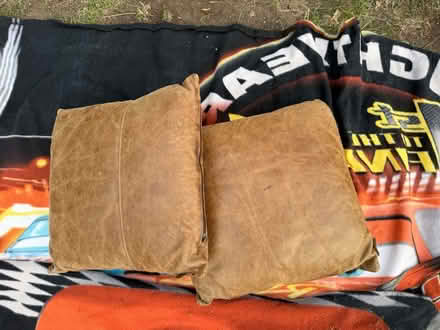 Photo of free Two antiqued leather cushions (Barnes SW13) #1
