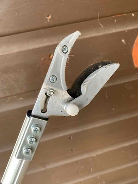Photo of free Pruner secateurs (Maesbrook SY10) #2