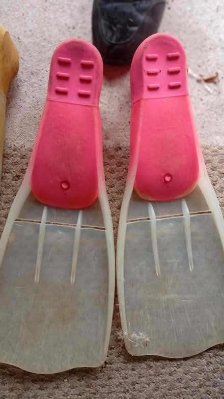 Photo of free Snorkeling fins (flippers to some) (Berwick Grange SY1) #1