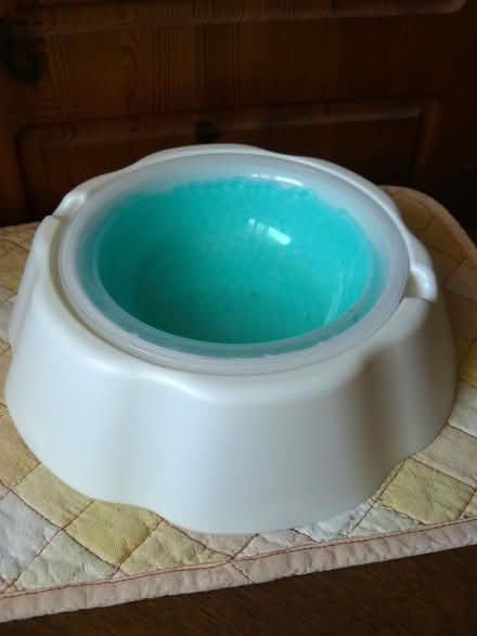 Photo of free Freezable Dog Water Bowl (Woodside WD25) #3
