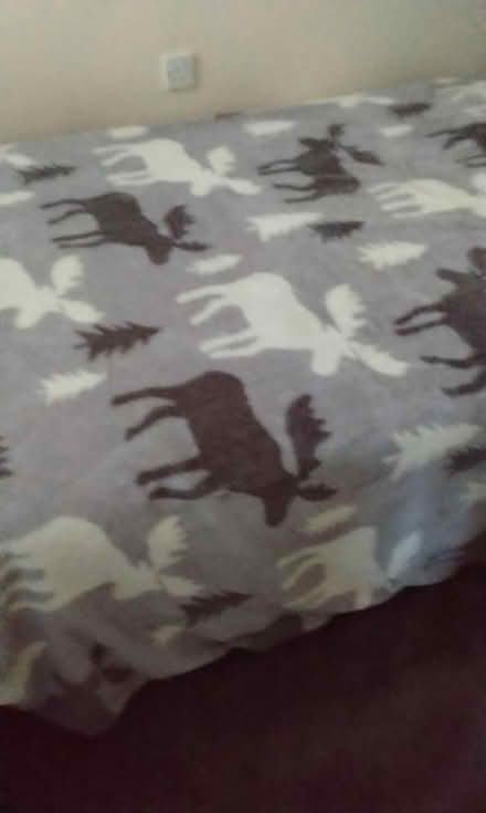 Photo of free Fleecy quilt (Spondon derby DE21) #3