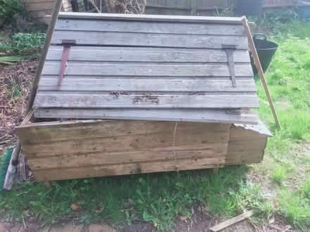 Photo of free Pair of chicken coops (Ninfield TN33) #4