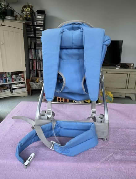 Photo of free Infant hiking carrier (Beekman Rd/Rt 55) #4