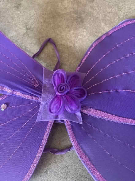 Photo of free Purple Butterfly or Fairy Wings (Providence Subdivision, Elgin) #2