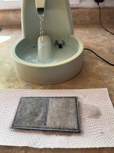 Photo of free Petsafe water fountain (Britannia Heights) #1