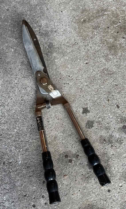 Photo of free Hedge Clippers (Terra Linda) #1