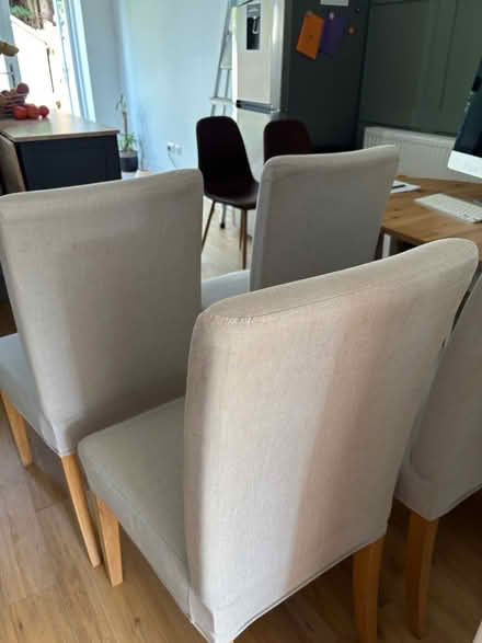 Photo of free Dining chairs (Perton, WV6) #3