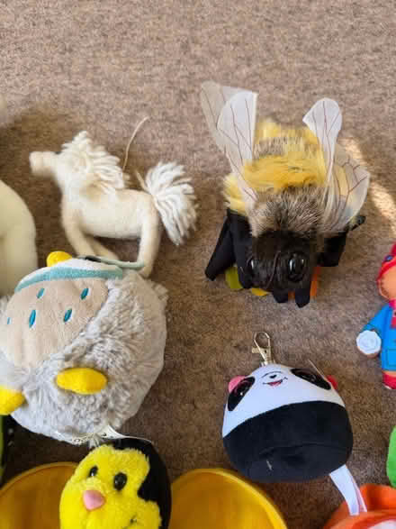 Photo of free Box of stuffed toys (Malvern WR14) #3