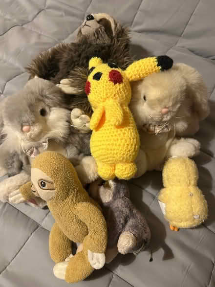 Photo of free Bundle of Cuddly toys (Wivenhoe CO7) #1