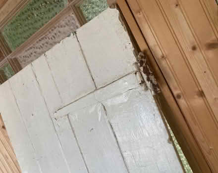 Photo of free Victorian pine cellar door (Hastings TN35) #4