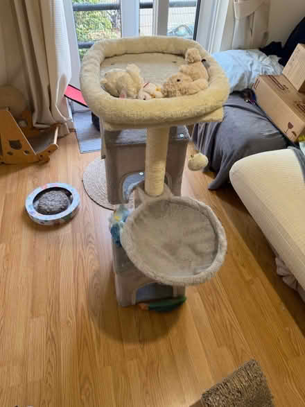 Photo of free Cat tree and some accessories (Deptford SE8) #1