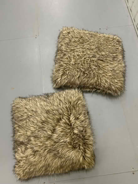 Photo of free Furry cushions and blankets (Herne Hill, SE24) #1