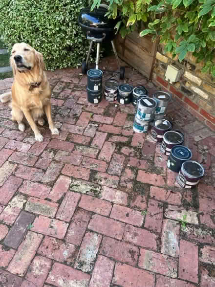 Photo of free Half used paints range of colours (Queens Park NW6) #1