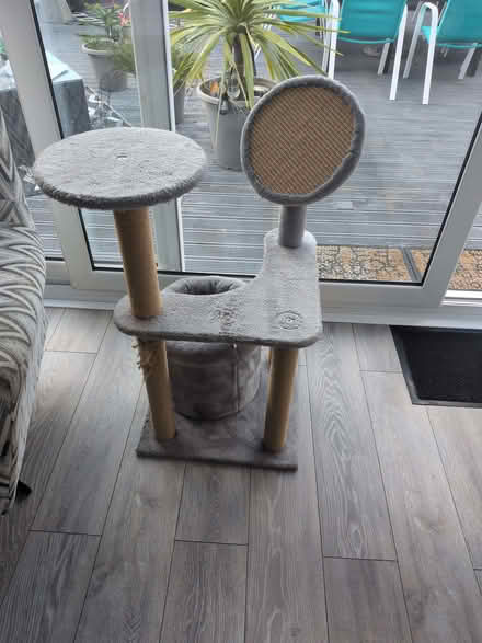 Photo of free Cat scratch post bed (Rise Park NG5) #1