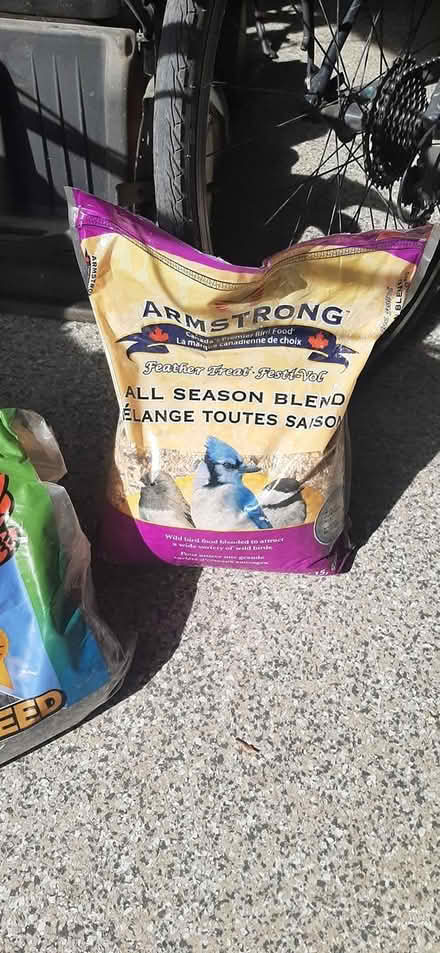 Photo of free Bird seeds (Hiawatha Park) #2