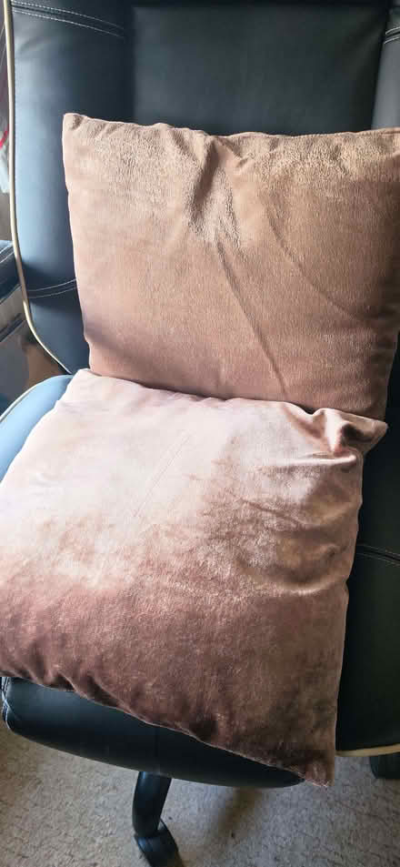Photo of free 2 small cushions (Lower Place OL16) #1