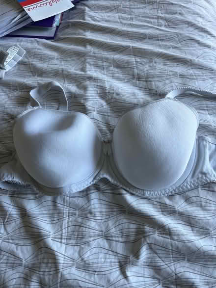 Photo of free Bra 32E (Hampden Park BN22) #1