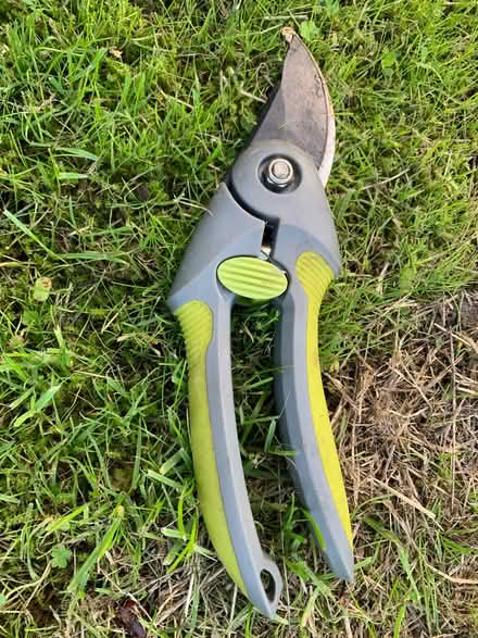 Photo of free secateurs & bulb hole planter (Maesbrook SY10) #2