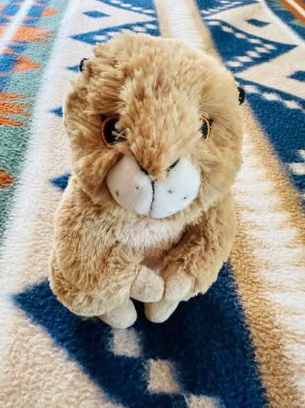 Photo of free Prairie Dog Stuff Toy (Heritage District, Sunnyvale) #1