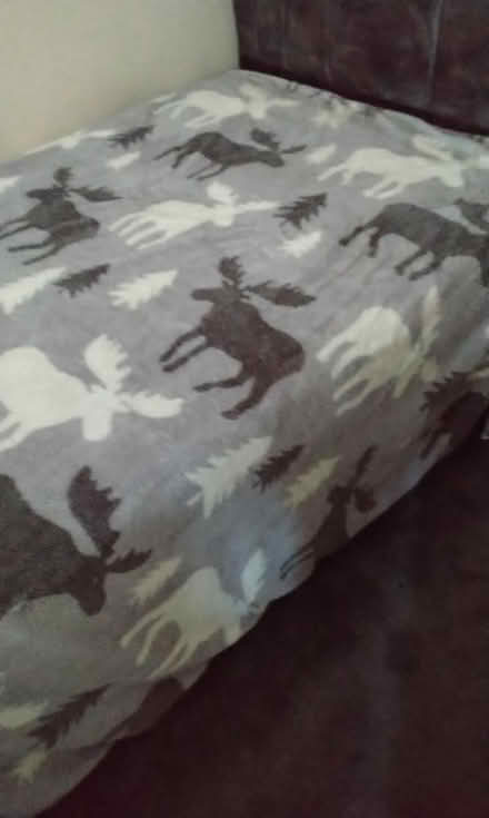 Photo of free Fleecy quilt (Spondon derby DE21) #1