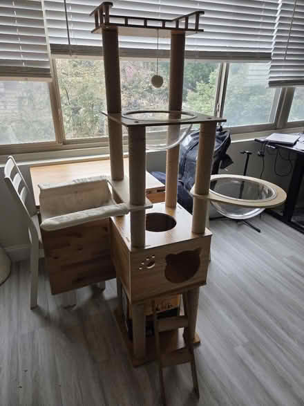 Photo of free Cat Tree (DuPont Circle) #1