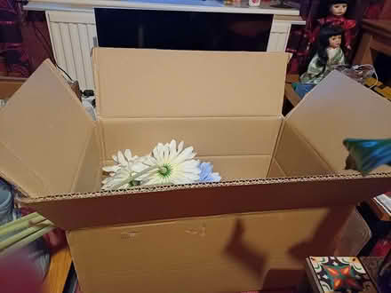 Photo of free Boxes (Chineham RG24) #3
