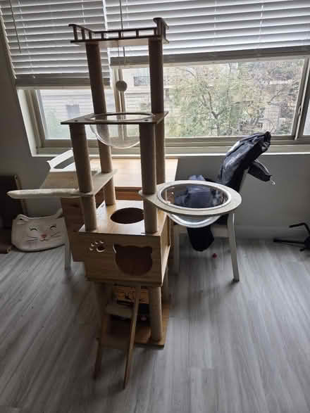 Photo of free Cat Tree (DuPont Circle) #2