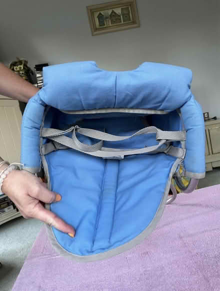 Photo of free Infant hiking carrier (Beekman Rd/Rt 55) #1