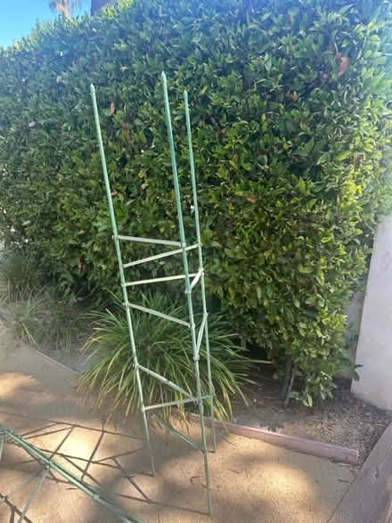 Photo of free Plant garden trellis (Westchester nr LMU) #2