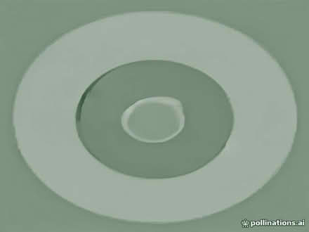 Photo of free Round Stepping Stones (Horbury WF2) #1